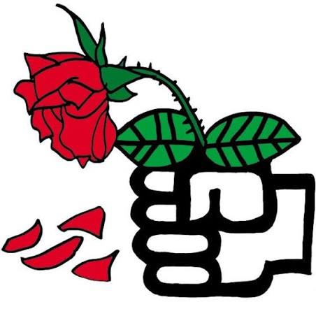 Imagen del artículo